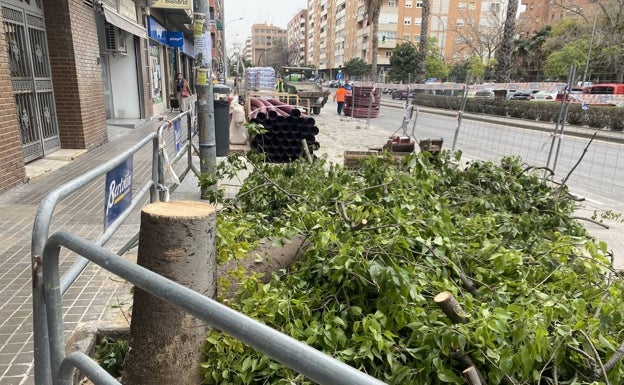 El Ayuntamiento de Valencia tala once árboles para hacer un carril bici