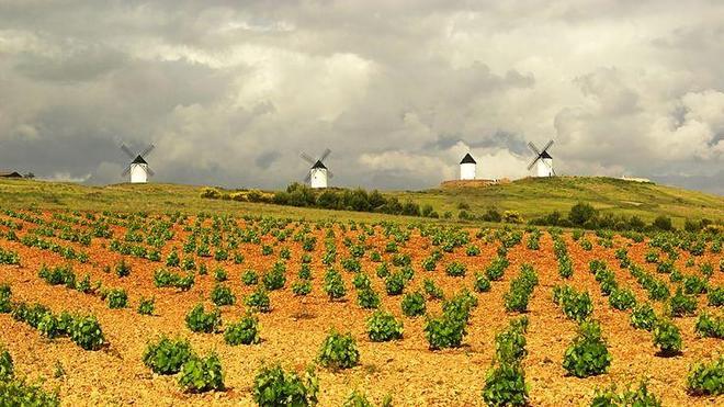 Don Quijote nos 'enseña' sus vinos