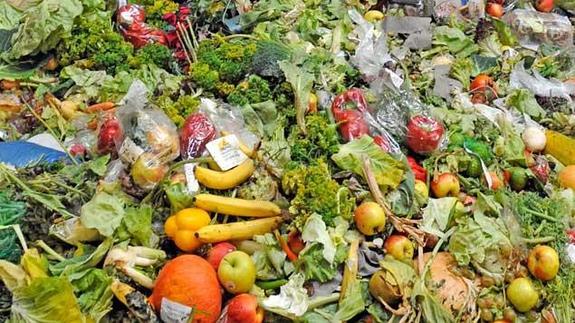 Un lujo en la basura