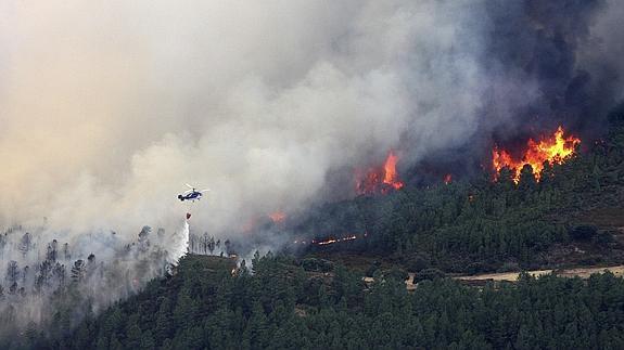 El fuego avanza descontrolado por el viento