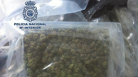 Diez detenidos y más de ochenta kilos de marihuana intervenidos en Torremolinos