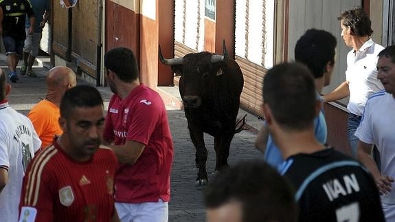 Muere un hombre corneado por un novillo en un encierro en Segovia