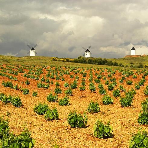 La ruta del vino de Don Quijote