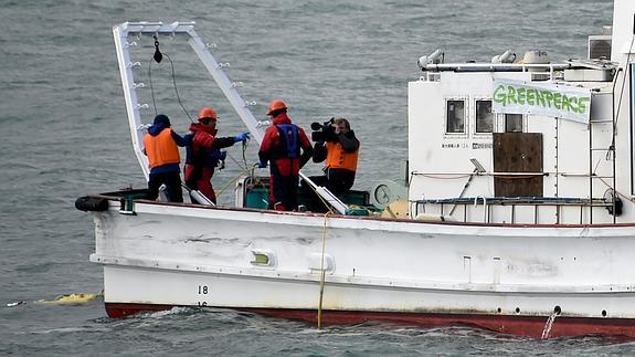 Greenpeace denuncia que las medidas de descontaminación de Fukushima son ineficaces