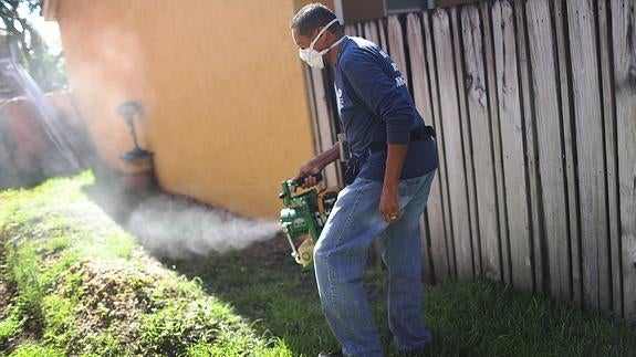 Un centenar de expertos piden que se pospongan los Juegos de Río por el zika