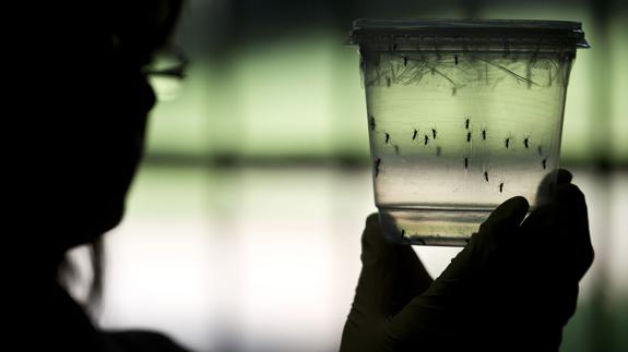 Detectado en Madrid el primer caso de Zika por transmisión sexual en España