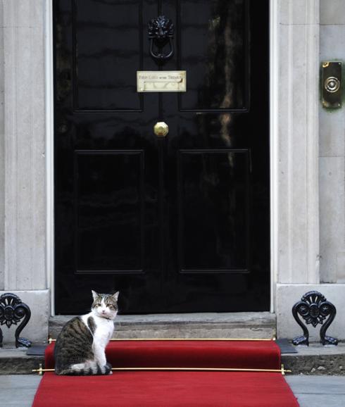 David Cameron se muda, pero el gato Larry se queda en la residencia