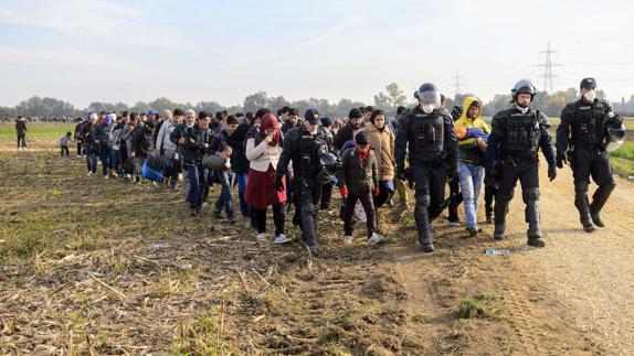 Un eurodiputado húngaro plantea colocar cabezas de cerdo en las fronteras para disuadir a los inmigrantes