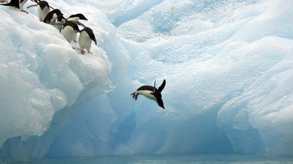 Una expedición científica navegará por primera vez alrededor de la Antártida