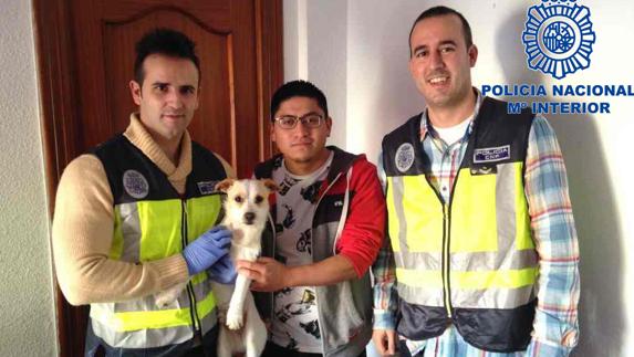 Detienen a un hombre por dar una paliza al perro de su compañero de piso