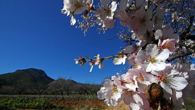 Vall de Pop: el paseo de los contrastes