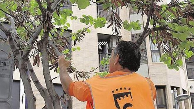 La lucha animal de Paterna