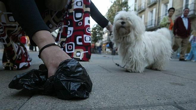 Policías de Paterna vestirán de paisano para detectar infracciones de propietarios de perros