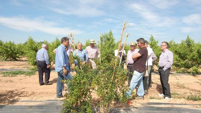 Agricultores se interesan por las nuevas variedades cultivadas en el Hort de Redal