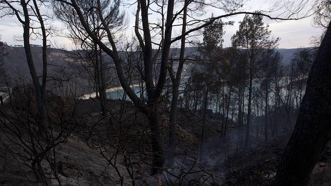 Cuatro años de cárcel al peón forestal que prendió fuego al monte en Chelva en 2012