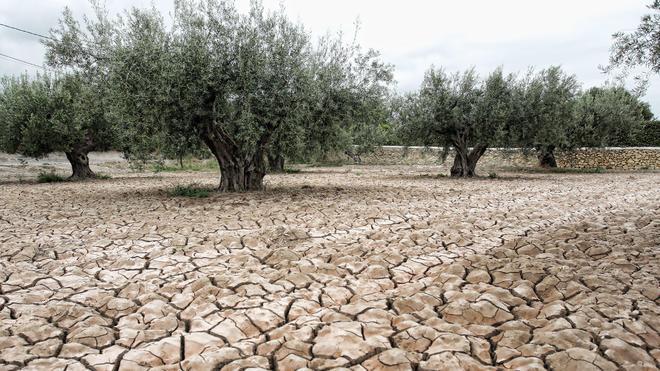 La sequía se agrava tras llover menos de la mitad de lo normal en gran parte de la Comunitat