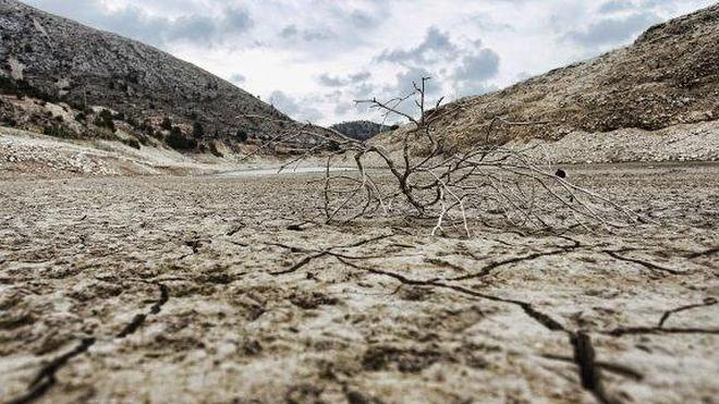 Agricultura analizará cada diez días la sequía que afecta a la Comunitat Valenciana