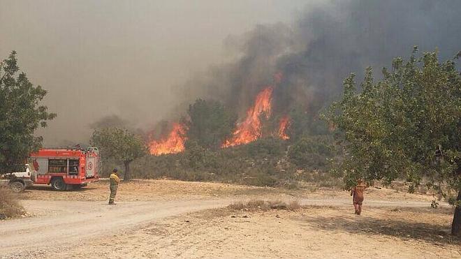 El incendio en Pedralba ya no presenta llamas