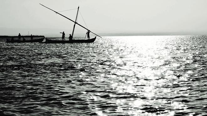 La Albufera ya tiene su feria