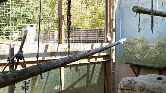 El zoo abandonado de Valencia inspira a Mira Bernabeu