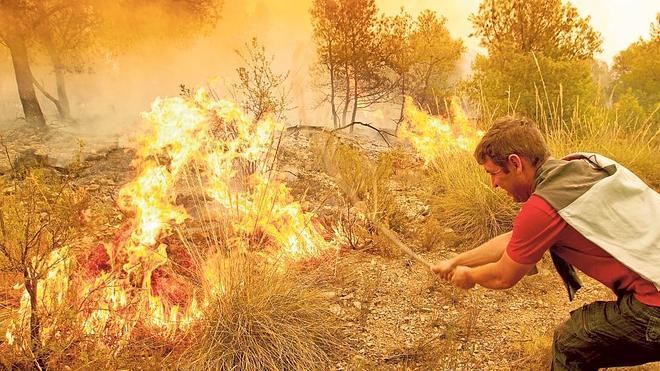 Uno de los peores incendios de la década en la Comunitat se queda sin culpables