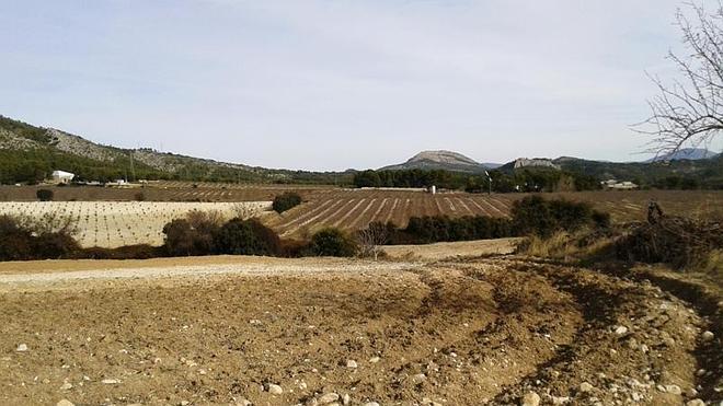 Empleo en tierras abandonadas