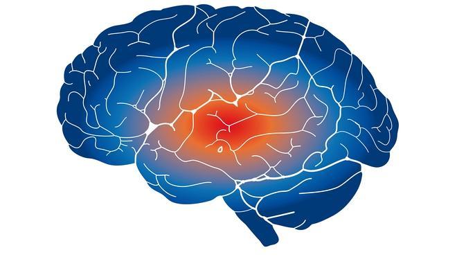 Ver porno puede reducir el tamaño del cerebro