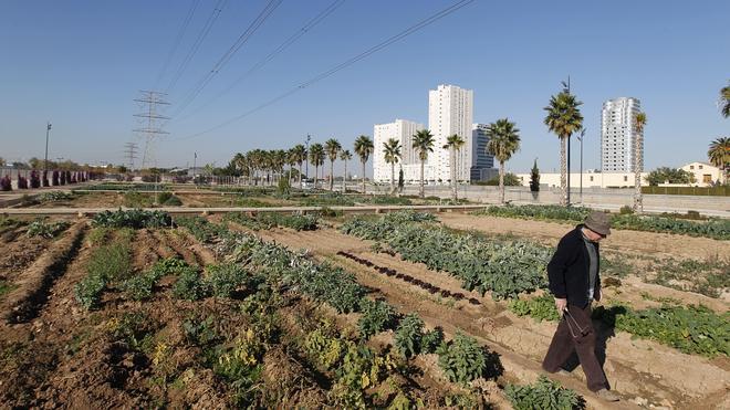 A la caza de uno de los 200 nuevos huertos urbanos de Sociópolis