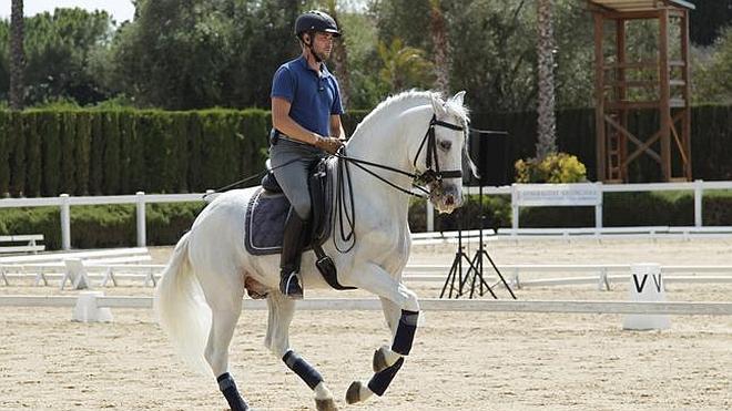 Caballos Pura Raza se exhiben en la Comunitat ante 10.000 personas