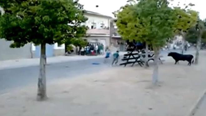 Ingresado un joven al ser herido en los bous al carrer de Aielo