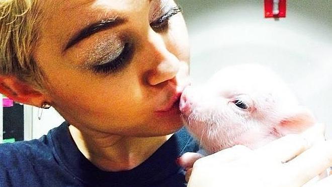 Miley Cyrus estrena a un cerdito como nueva mascota