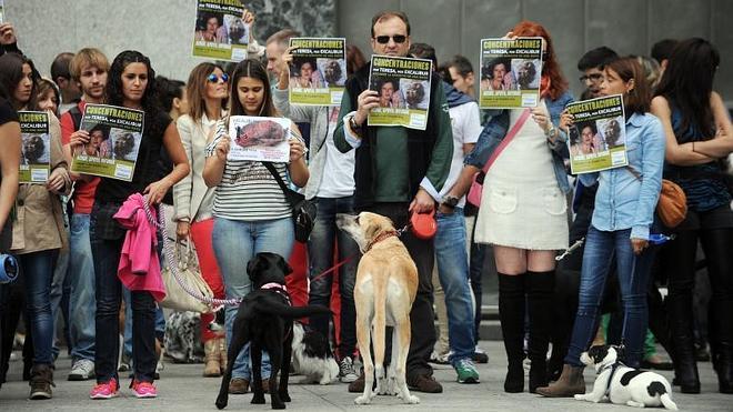 El Excálibur norteamericano permanece en cuarentena por el momento