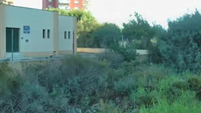 Plagas de mosquitos en pleno octubre obligan a reforzar la fumigación