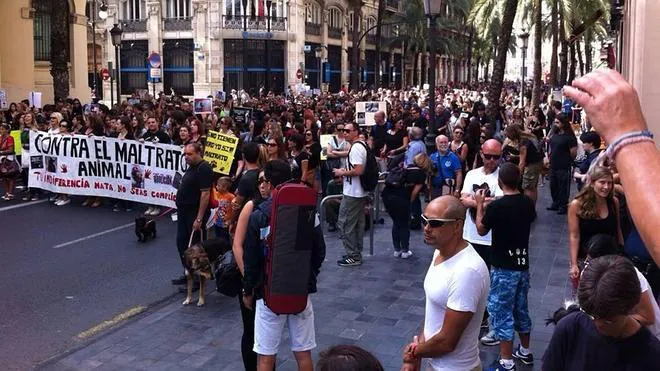 Centenares de personas recorren Valencia pidiendo respeto para los animales