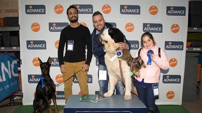 Tula, el perro más simpático de Paterna