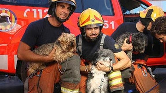 El lado animal de los bomberos