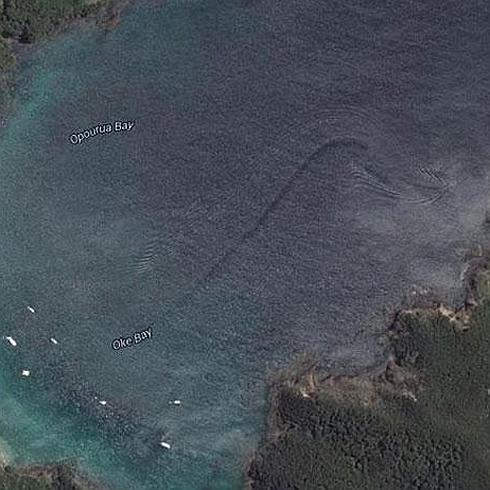 Localizan gracias a Google Maps un misterioso monstruo marino en Nueva Zelanda