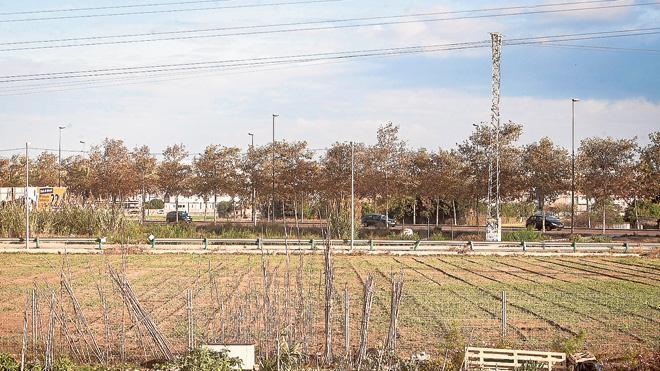 Los nuevos barrios tendrán miradores y accesos ciclistas a las zonas de la huerta