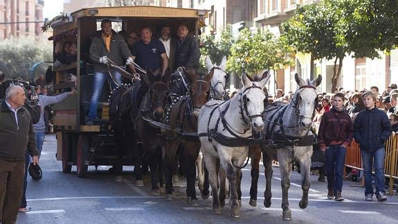 Las mascotas toman la calle Sagunto por Sant Antoni