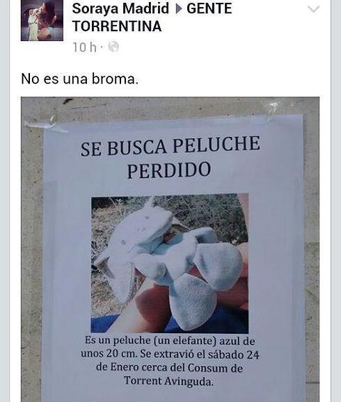 Se busca peluche perdido