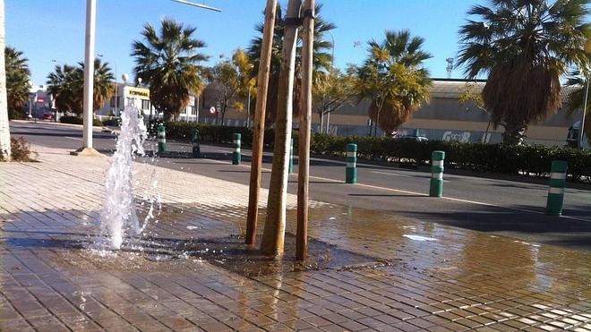 Un 'manantial' en plena acera de Tres Forques
