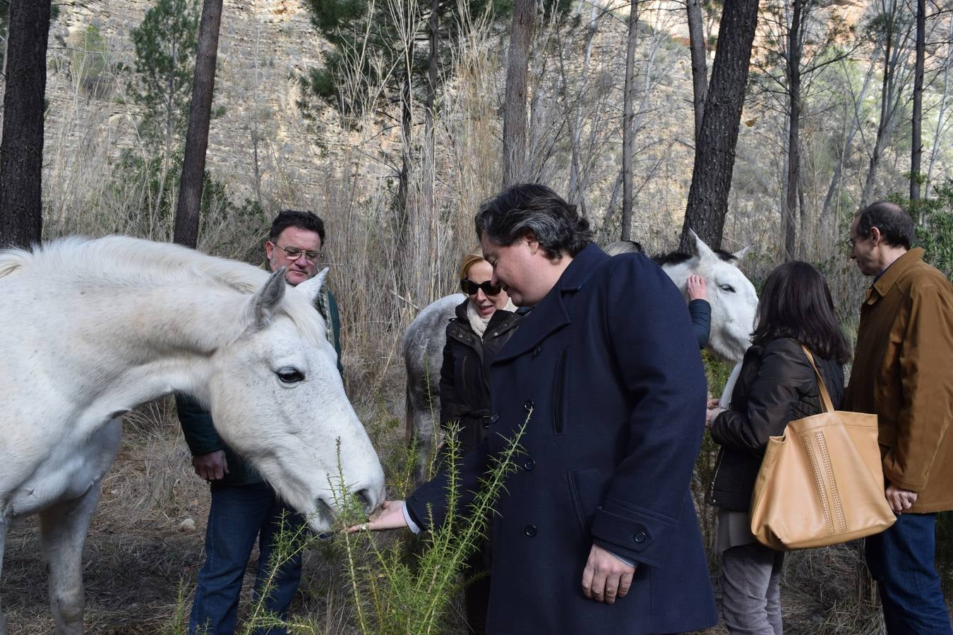 Caballos para prevenir incendios