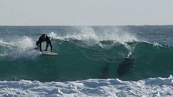 Un tiburón arranca las piernas y mata a un surfista