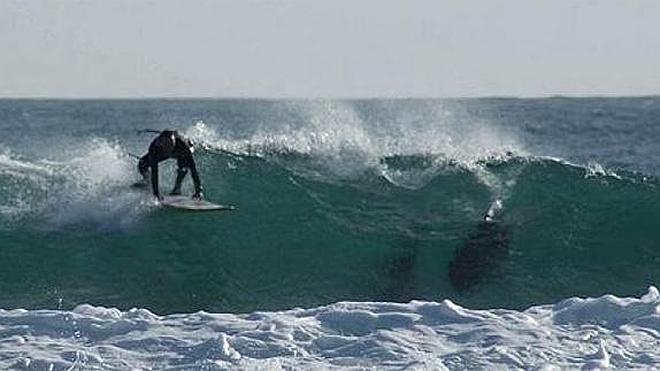 Un tiburón arranca las piernas y mata a un surfista