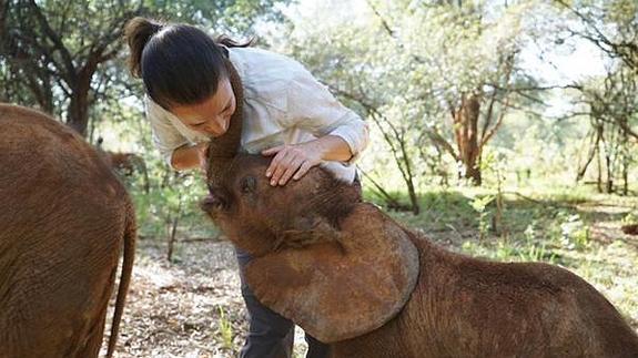 La actriz Kristin Davis, de 'Sexo en Nueva York', salva la vida a un elefante envenenado