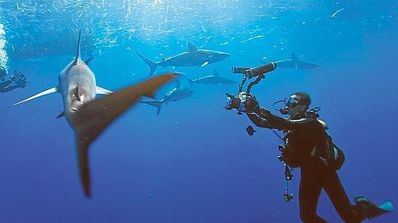 Valencia realiza la primera película submarina de España para la gran pantalla