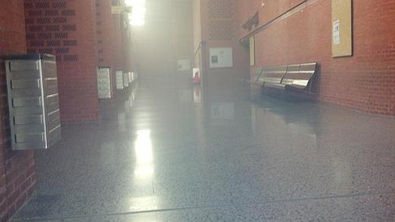 Un vigilante, hospitalizado tras un acto vandálico durante la huelga en la Universitat de València