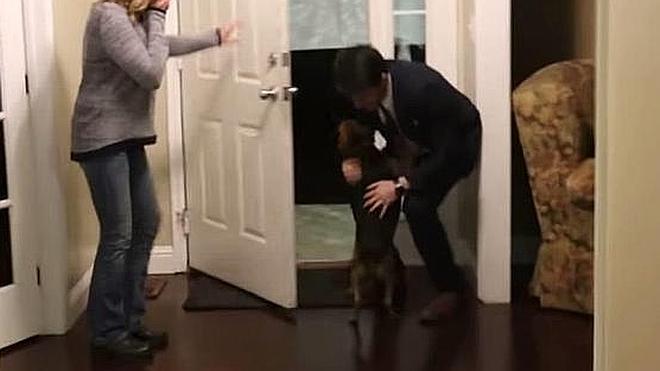 Emocionado encuentro entre un perro y su dueño tras dos años sin verse