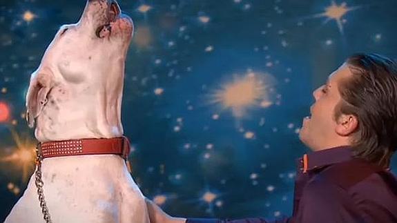 El perro que 'canta' como Whitney Houston