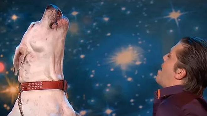 El perro que 'canta' como Whitney Houston